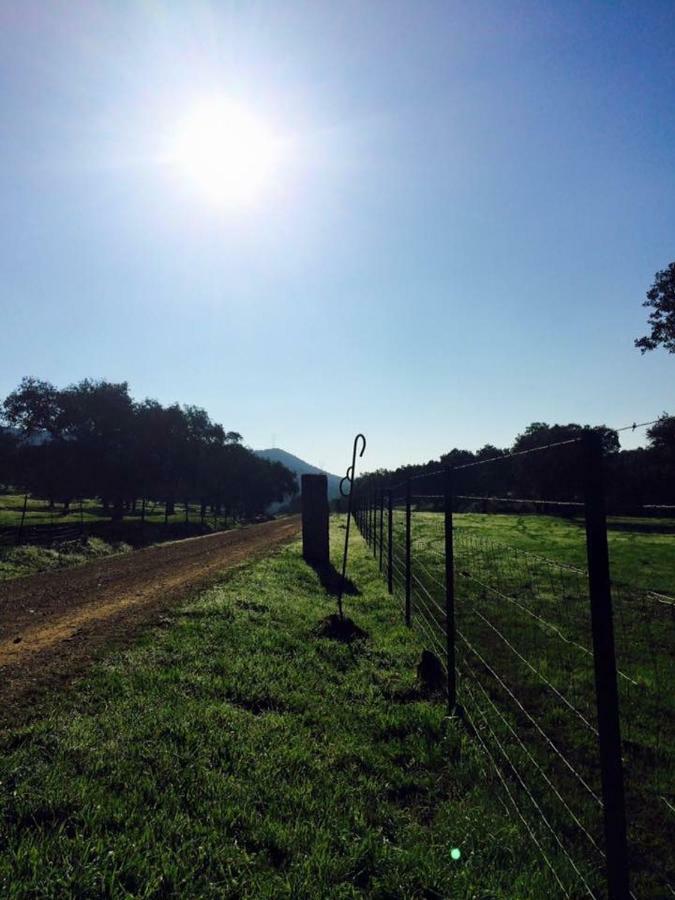 Willa Vivienda Rural El Ejido El Real de la Jara Zewnętrze zdjęcie
